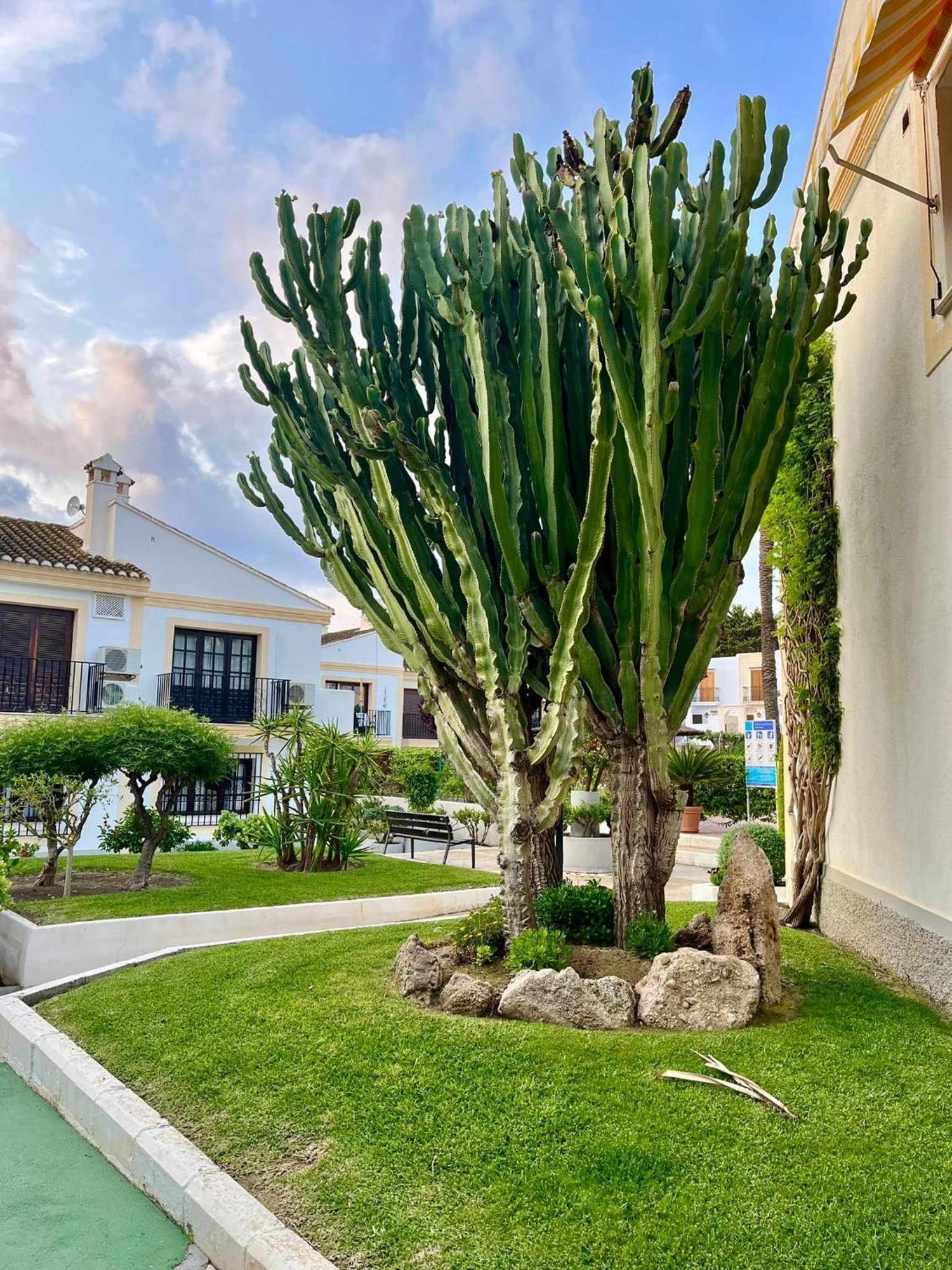 Apartamento Vera Coast 123 Playas de Vera Luaran gambar