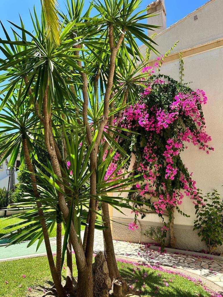 Apartamento Vera Coast 123 Playas de Vera Luaran gambar